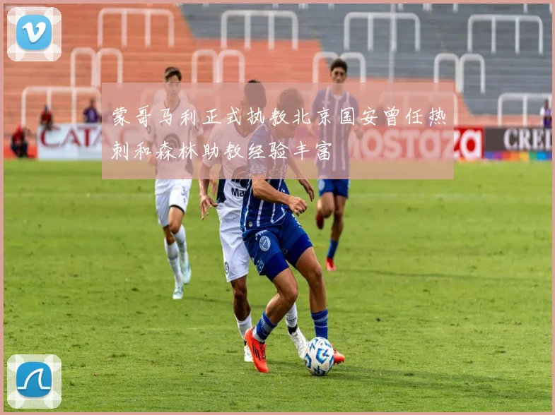 蒙哥马利正式执教北京国安曾任热刺和森林助教经验丰富